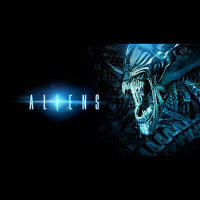 Episode 491 - Were Going on a Bug Hunt