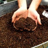 Bob Vila Radio: Composting