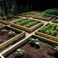 Bob Vila Radio: Garden Planning