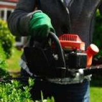 Bob Vila Radio: Sharpening Your Hedge Trimmer