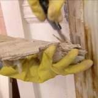Bob Vila Radio: Paint Stripping Tips