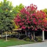 Bob Vila Radio: Cooling Plants