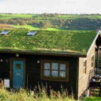 Bob Vila Radio: Green Roofs