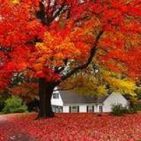 Bob Vila Radio: Fall Safety Check