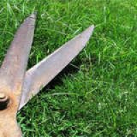 Bob Vila Radio: Lawn Care Hell