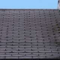 Bob Vila Radio: Is a Mossy Roof Cause for Concern?