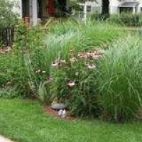 Bob Vila Radio: What Is a Rain Garden?