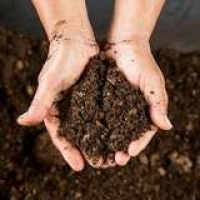Bob Vila Radio: Surveying Your Soil