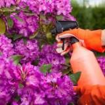 At Home With Bob Vila