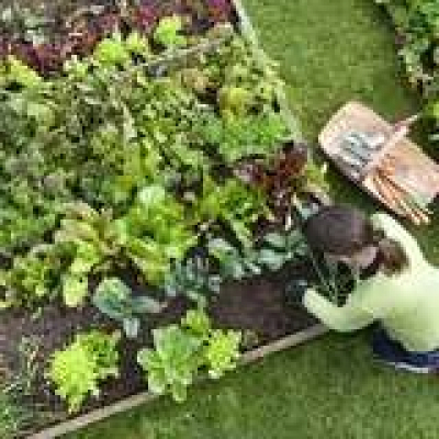 At Home With Bob Vila