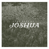 Joshua 11  12