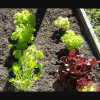 25: Dates, faces  memories flashed through my mind