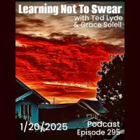 Episode 295 - trump 2.0