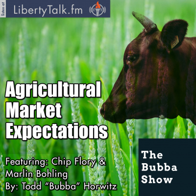 Bubba Show With Todd Horwitz