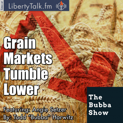 Bubba Show With Todd Horwitz