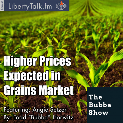 Bubba Show With Todd Horwitz