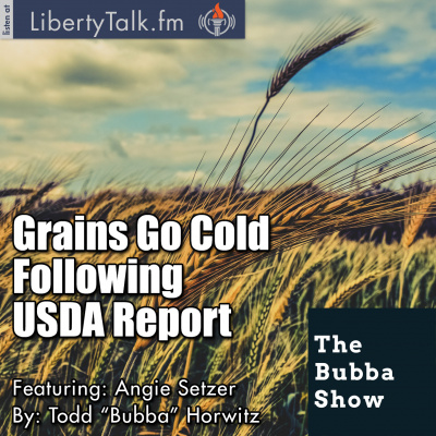 Bubba Show With Todd Horwitz