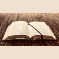 Gods Purpose for Our Lives