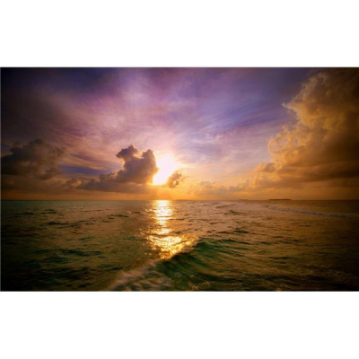 Coffee Talk With Soy