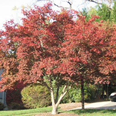 St. Francis Episcopal Church