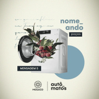 02.06.19 - AUTÔMATOS - NOMEANDO POÇOS