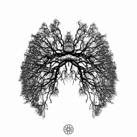 03.06.18 - INSPIRE EXPIRE - OBEDECER