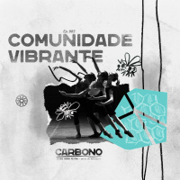 CARBONO Do Que Somos Feitos - Comunidade Vibrante - Igreja Mosaico - 01.08.21 Mixdown