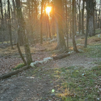 Episode 57: Meditation On Presence