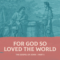 For God So Loved the World