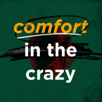 Comfort in the Crazy
