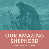 Our Amazing Shepherd