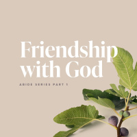 Friendship with God
