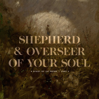 Shepherd and Overseer of Your Soul