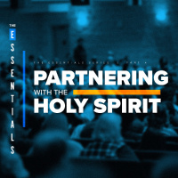 Partnering with the Holy Spirit