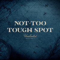 Not-Too Tough Spot