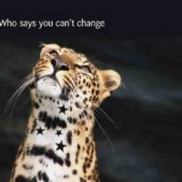 Change Mgt - Kotters Theory