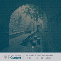 The Holy Land: Pool of Siloam