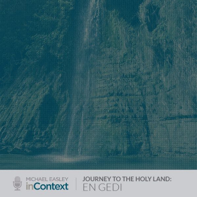 Michael Easley Incontext