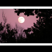 LIVE Psychic Medium Readings TONIGHT  WIN a FREE Reading