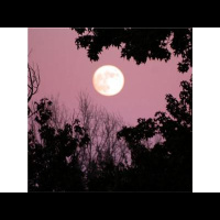 LIVE Psychic Medium Readings TONIGHT  WIN a FREE Reading!