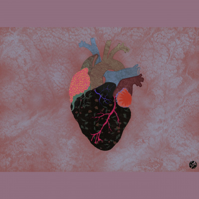 New Books In Critical Theory