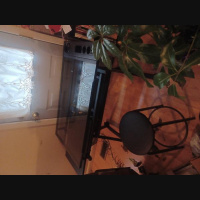 July 4, 2022 Ascension Cosmos Oracles ACO Co-Founders Michael Woods TJ Morris ET