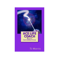 Cyberspace Culture Intuitive Philosophy Melinda DAmico, Ben Pellom