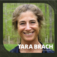 Awakening Compassion in a Fearful World: The Practice of Tonglen