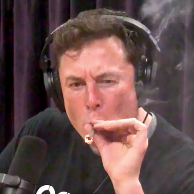 Whiskey And The Surfer