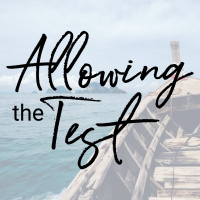 Allowing the Test