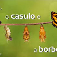 A larva, o casulo e a borboleta