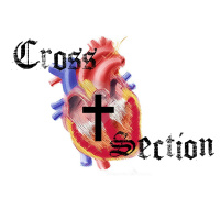 Ep. 26 Matthew 6:25-34