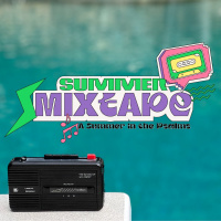 Summer Mixtape Bumper