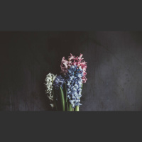 Suicide and Salvation